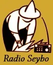 Logo de Radio Seibo