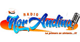 Radio Nor Andina 101.9 MHz FM - Cajamarca, Celendín